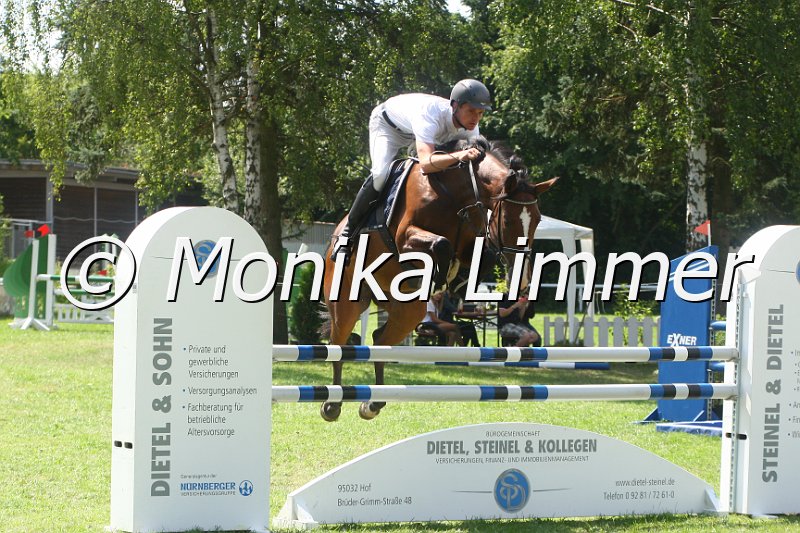 308M0114_Wild Princess_Springpferde_L.JPG